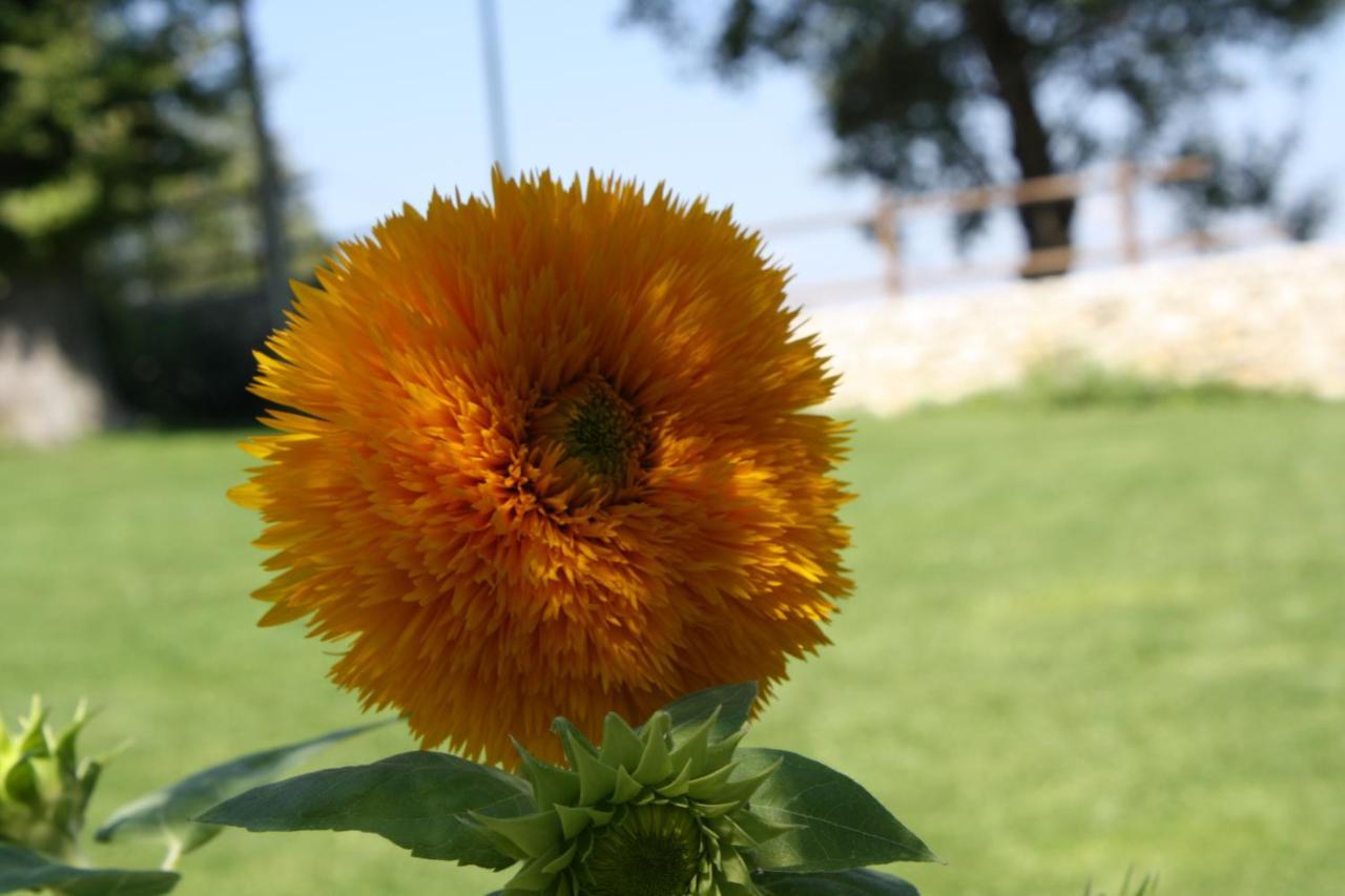 Locanda Del Barone Caramanico Terme Exteriér fotografie